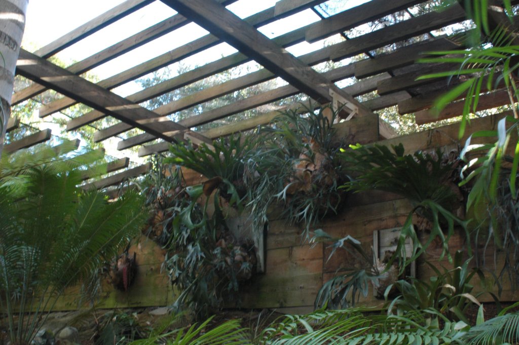 photo19.jpg