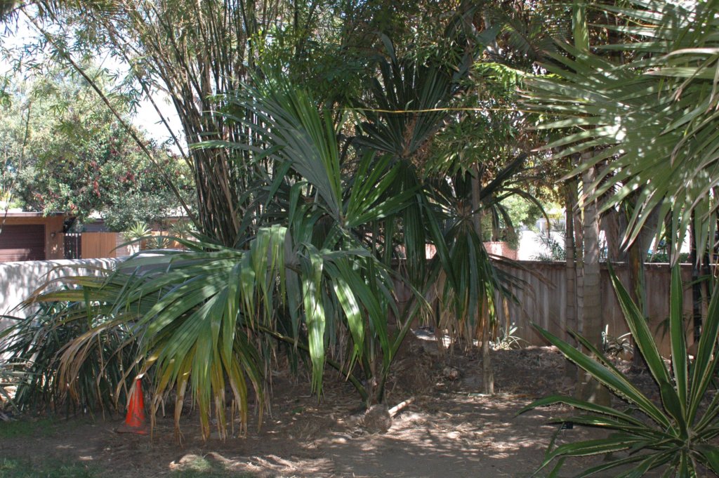 photo22.jpg