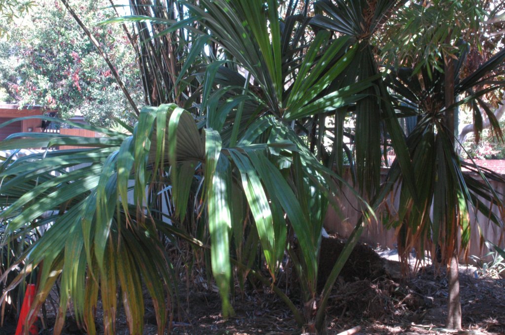 photo23.jpg