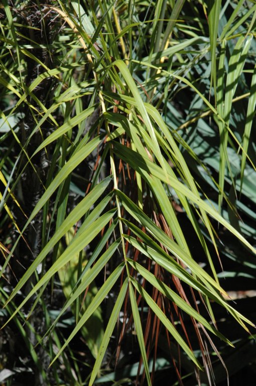 photo29.jpg