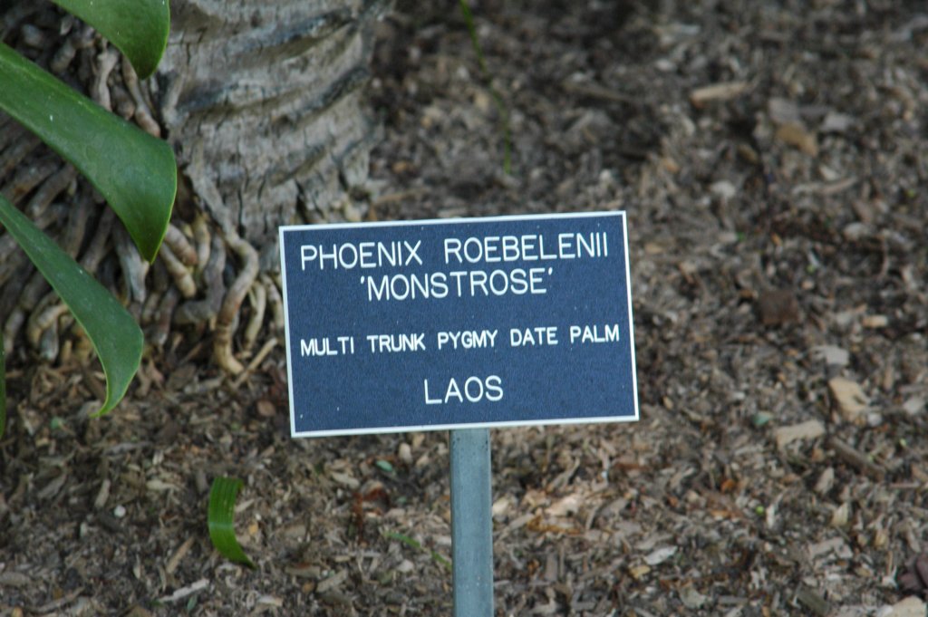photo51.jpg
