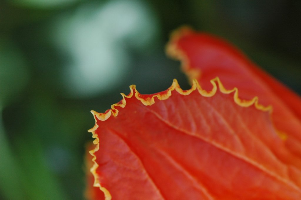 photo8.jpg