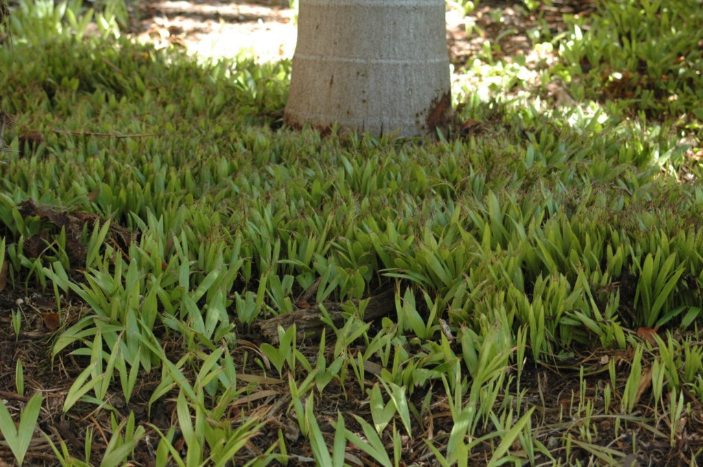 photo80.jpg