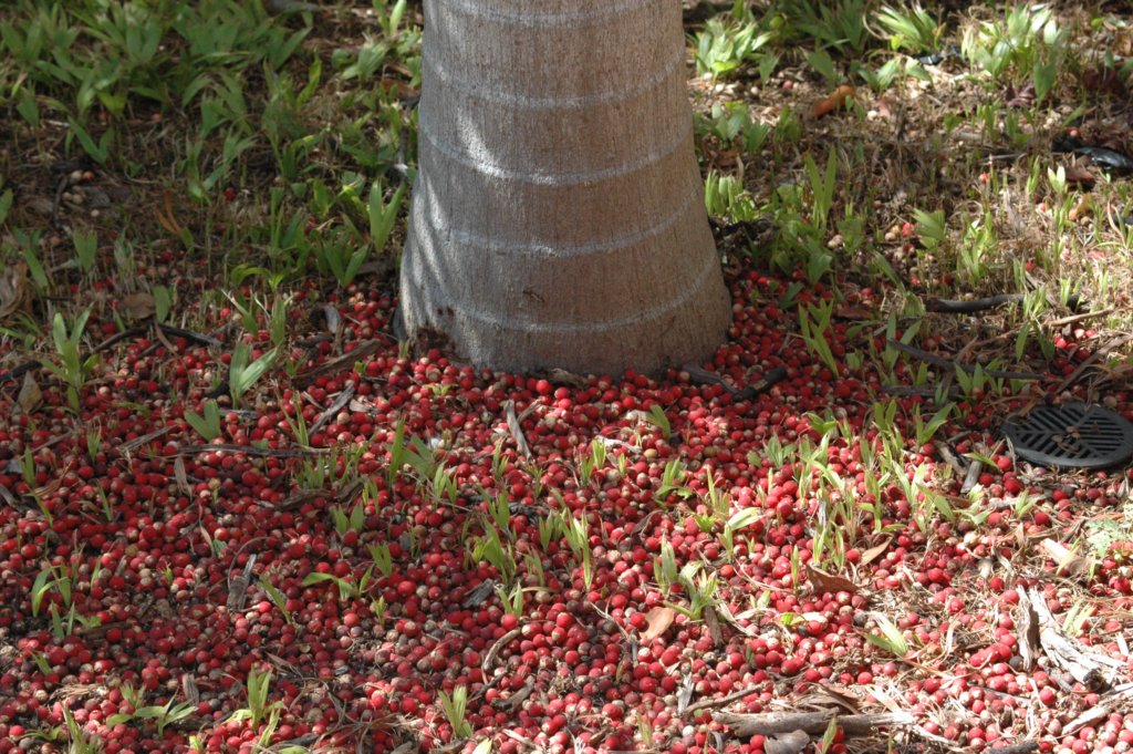 photo81.jpg