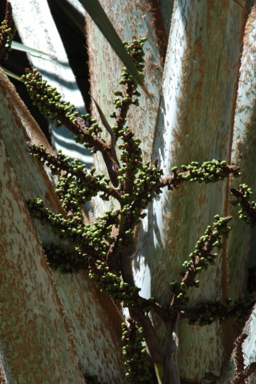 photo85.jpg
