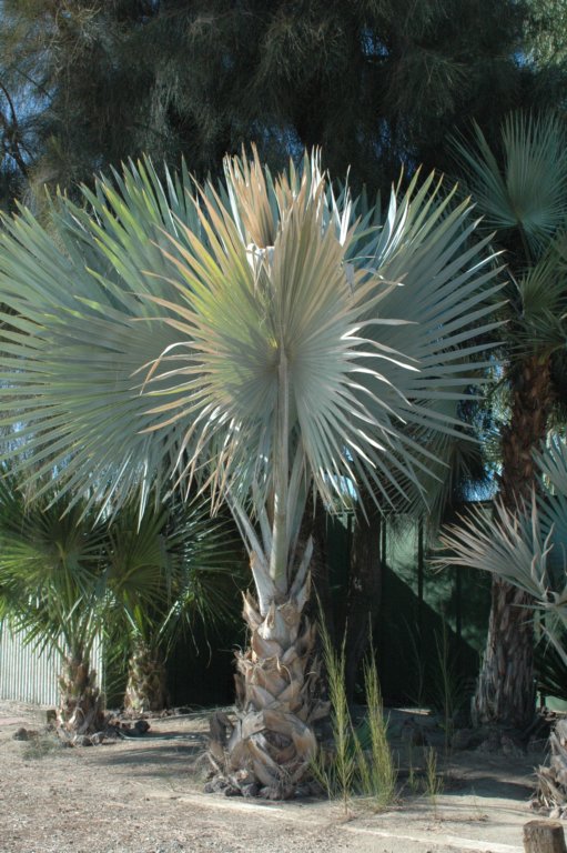 photo88.jpg