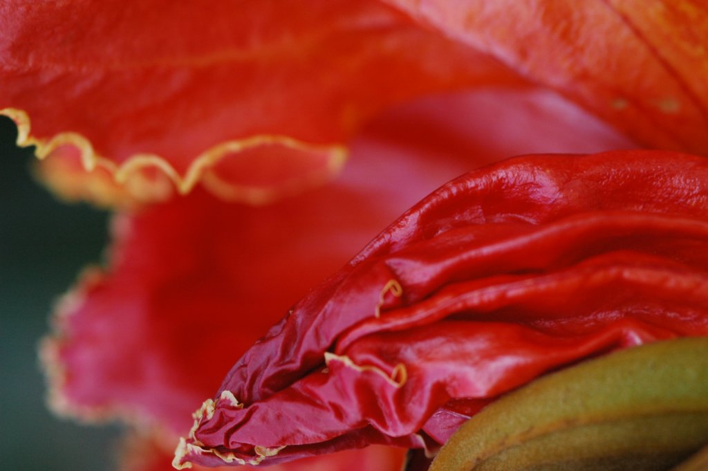 photo9.jpg